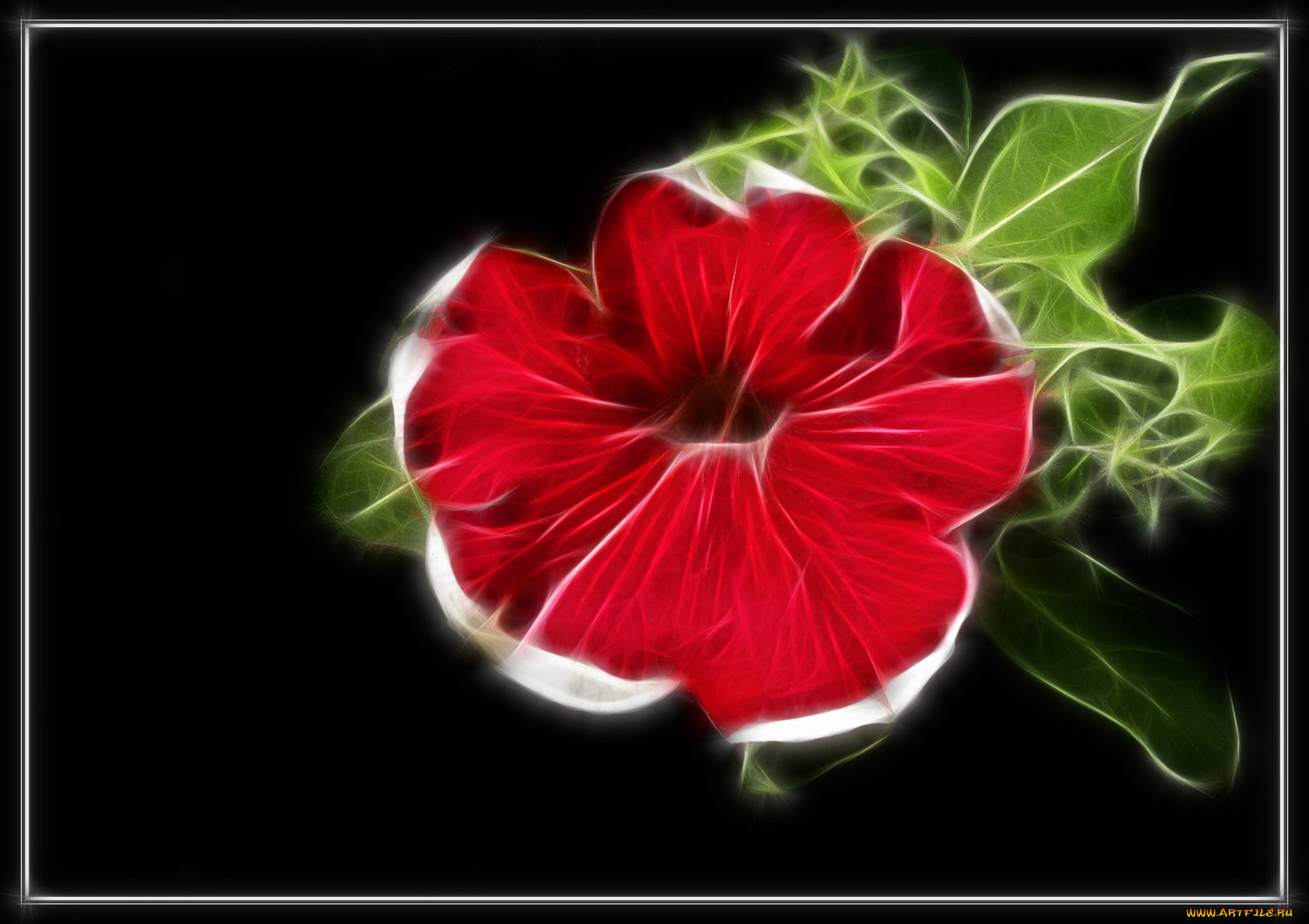 3, , flowers, 